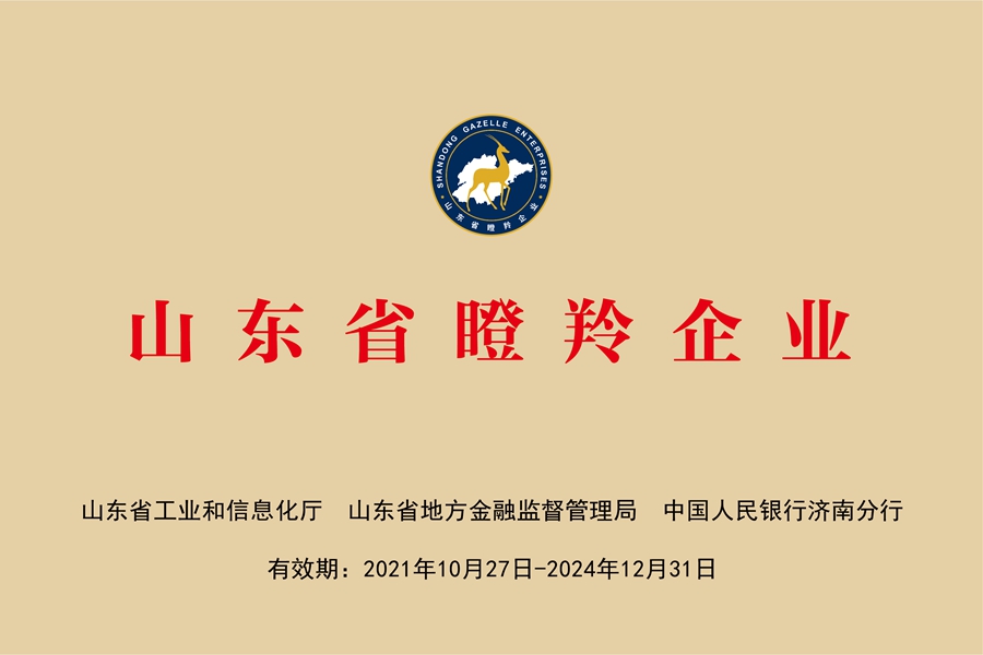 国网中电公司：山东省瞪羚企业